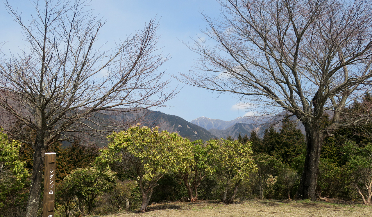 丹沢登山 シダンゴ山～宮地山