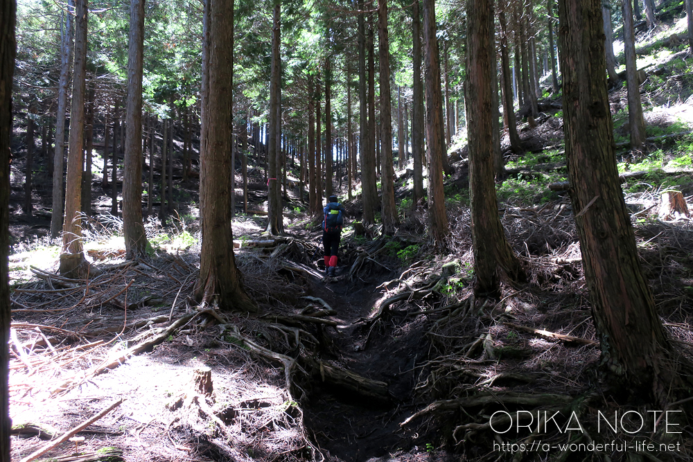 登山の日記(山歩きのブログ)　神奈川・西丹沢の不老山に行ってきました