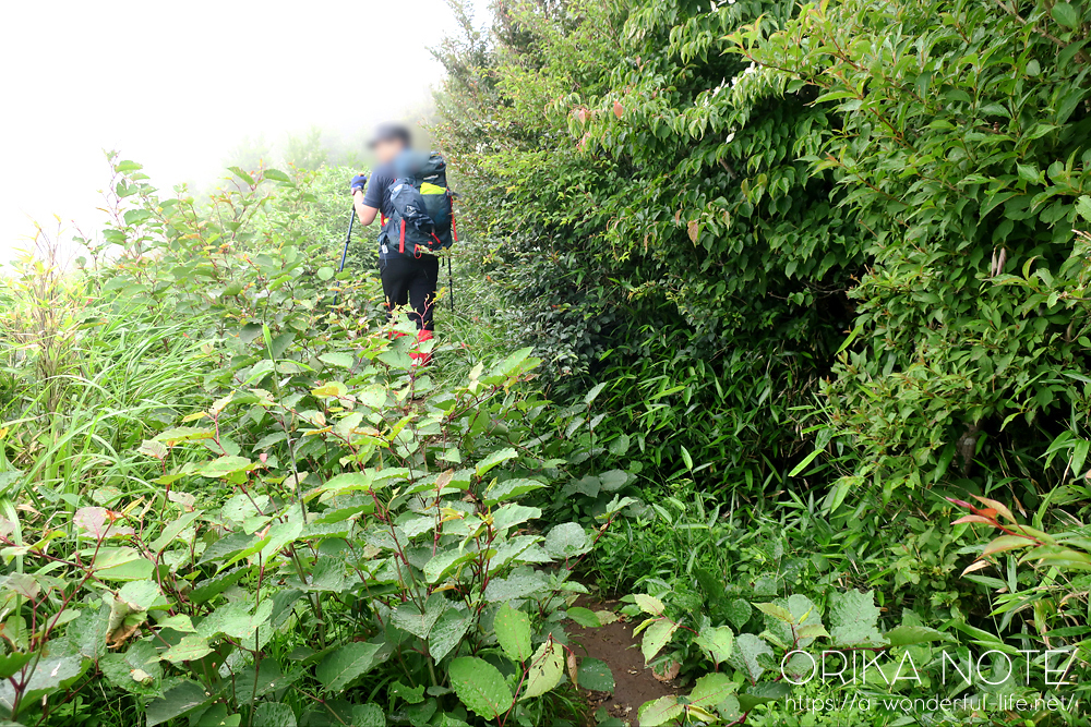 登山の日記(山歩きのブログ)　箱根の明星ヶ岳・明神ヶ岳に行ってきました