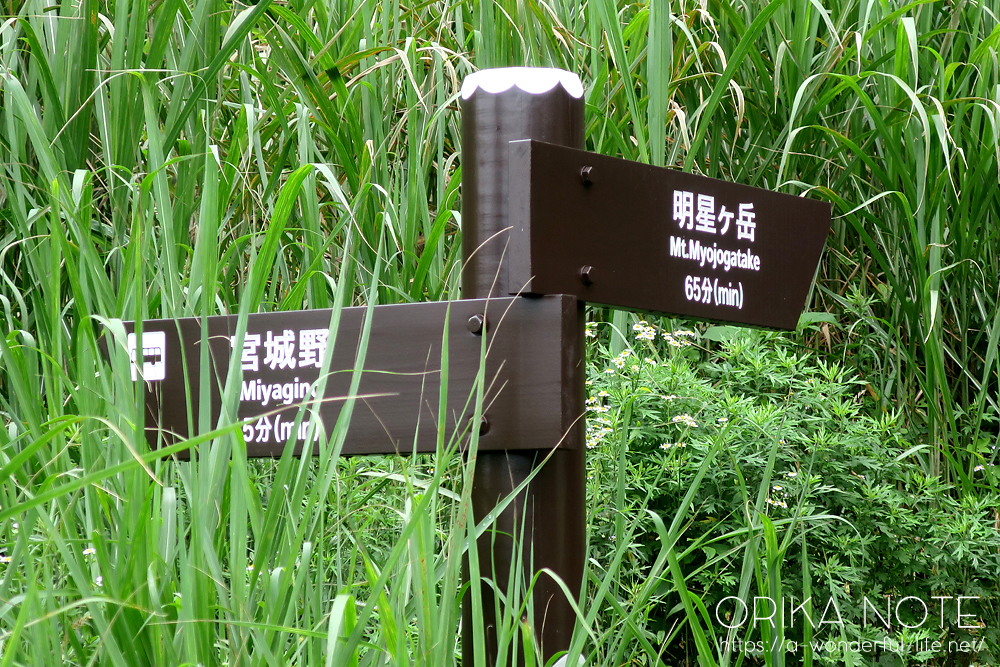 登山の日記(山歩きのブログ)　箱根の明星ヶ岳・明神ヶ岳に行ってきました